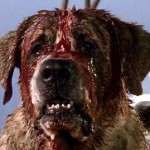 Cujo (1983)