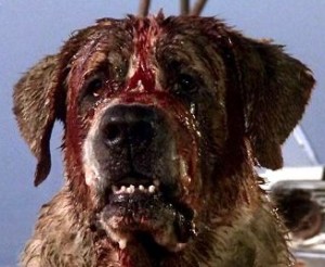 Cujo (1983)