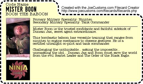 Mister Boon File Card